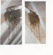 objekte_nesteleien,_1993,_bienenwachs,_sisal,_krepp.jpg
